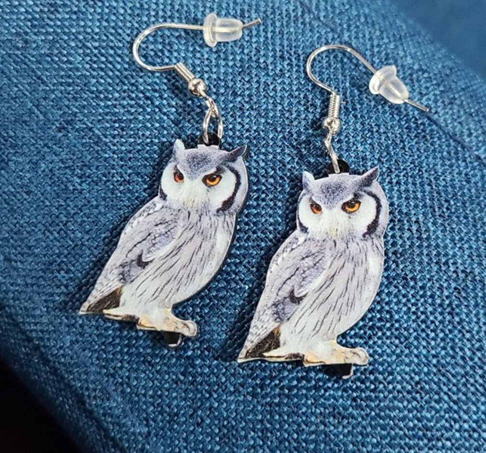 Owl earrings Harry Potter Hedwig Acrylic Bundle Me Unique Gift Dark Academia NEW